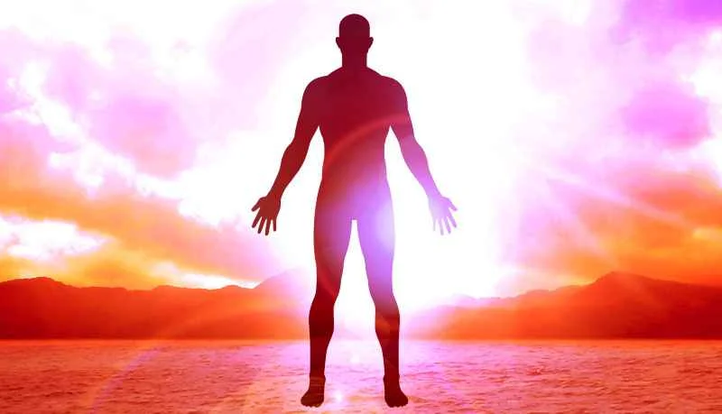 Comment vivre votre séance — le Protocole
