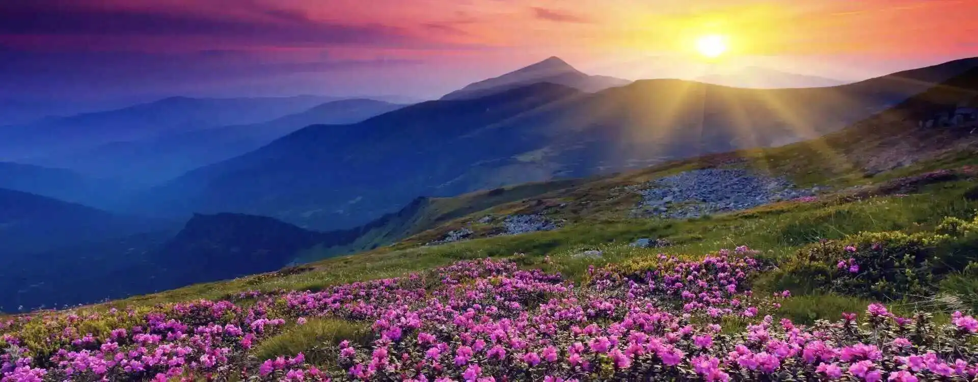 L'égo telle la brume dissipée — soleil qui éclaire la belle montagne et révèle la Nature infinie du Moi